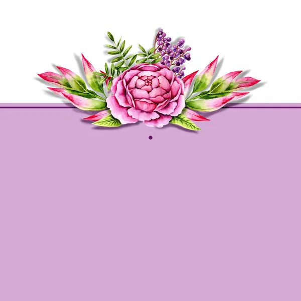 Ard Watercolor Pink Peonies Green Sprigs Purple Berries Template Hand — Stock Photo, Image