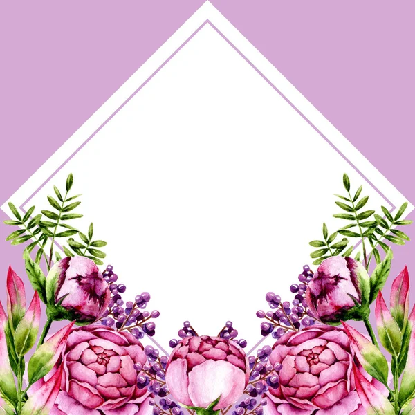 Акварельными Розовыми Пионами Зелеными Елями Фиолетовыми Ягодами Шаблон Расписанными Вручную — стоковое фото