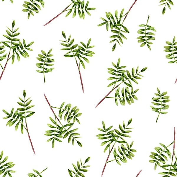 Nahtloses Muster Von Aquarell Grünen Zweigen Mit Blättern Isolierte Handbemalte — Stockfoto