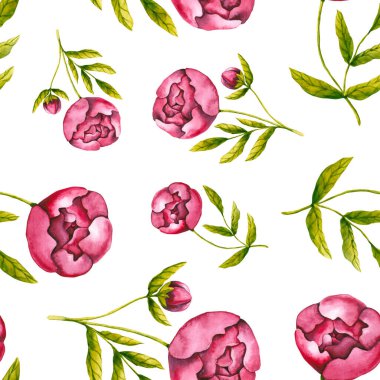 Suluboya şakayıklı kusursuz desen. El çizimi beyaza izole edilmiş. Boyalı çiçekler düğün davetiyesi için mükemmeldir. Çiçek tasarımı, kumaş tekstili, iç duvar kağıdı.