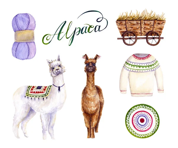 Conjunto Alpacas Aquarela Fios Carrinho Com Feno Suéter Tapete Ilustração — Fotografia de Stock