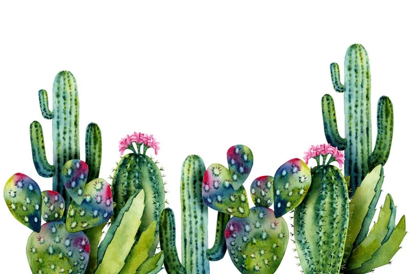 Mall Med Akvarell Kaktusar Färgglada Illustration Isolerad Vitt Handmålade Suckulenter — Stockfoto