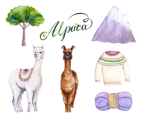 Set Alpaca Acquerello Filati Albero Maglione Montagne Illustrazione Colorata Isolata — Foto Stock