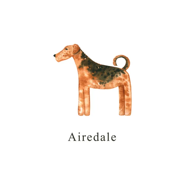 Cão Aquarela Ilustração Desenhada Mão Isolada Branco Airedale Pintado Perfeito — Fotografia de Stock