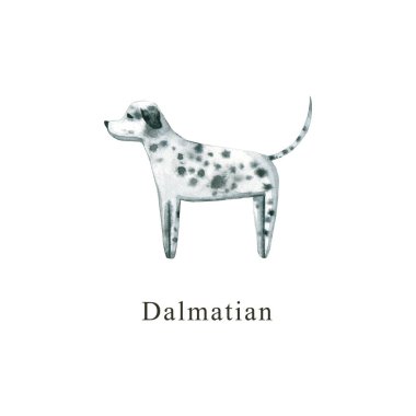 Suluboya köpek. El çizimi beyaza izole edilmiş. Boyalı Dalmaçyalı hayvan tasarımı, hayvan dükkanı, veteriner kliniği, kumaş tekstili, bebek bezi baskısı, iç kaplama, duvar kağıdı için mükemmel.