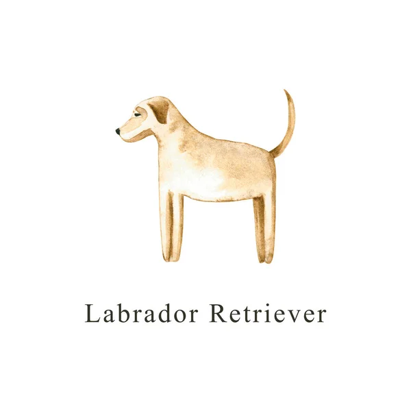 Cão Aquarela Ilustração Desenhada Mão Isolada Branco Labrador Pintado Retriever — Fotografia de Stock