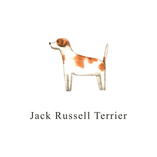 Cão Aquarela Ilustração Desenhada Mão Isolada Branco Jack Russell Terrier — Fotografia de Stock