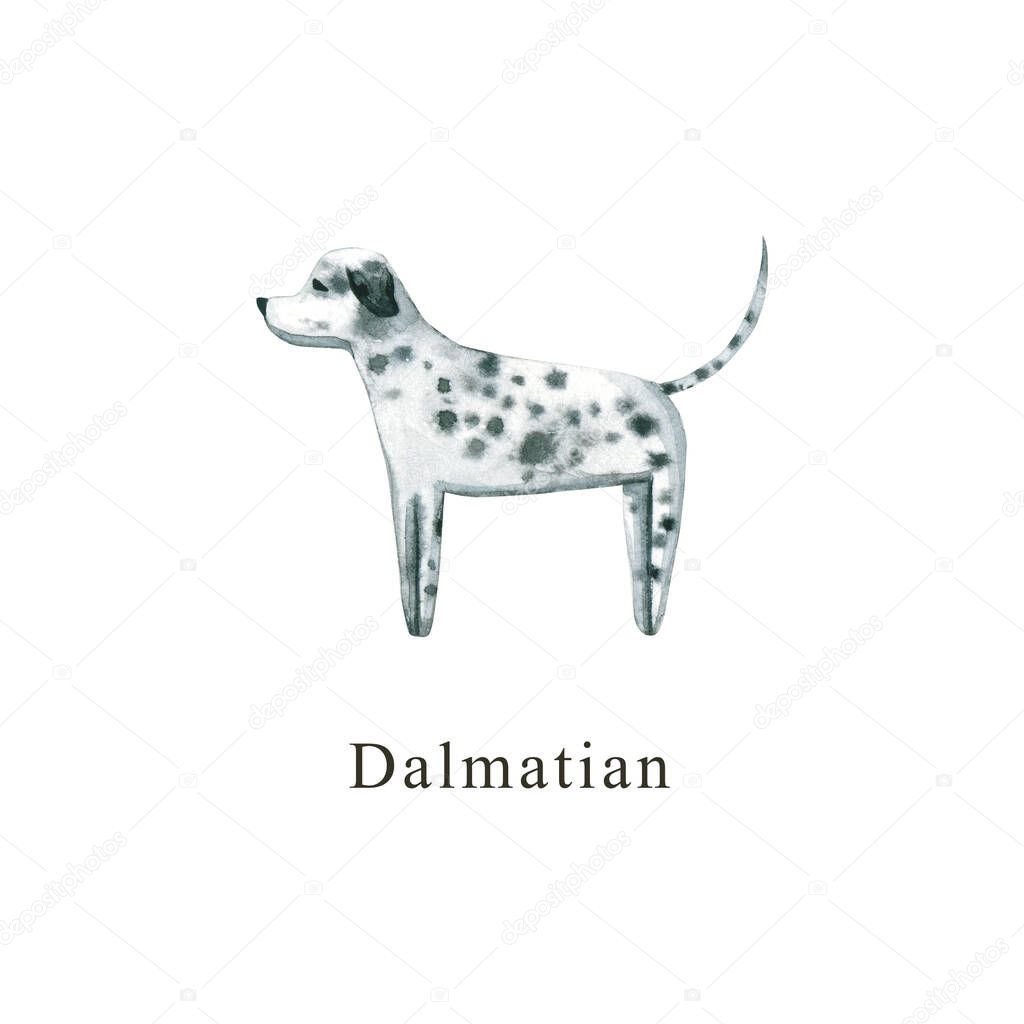 Watercolor dog. Hand drawn illustration is isolated on white. Painted Dalmatian is perfect for animal design, pet shop, veterinary clinic, fabric textile, baby cloth print, interior poster, wallpaper
