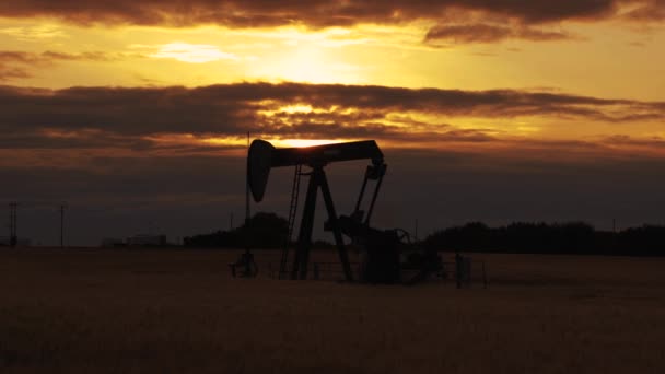 Pumpjack Oil Well Silhouette Oil Pump Jack Rig Sun Sets — Stock Video