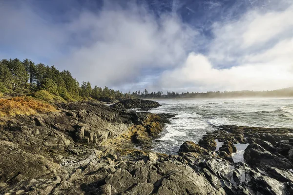 Pobřeží oceánu. Tofino, Kanada — Stock fotografie