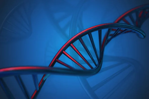 DNA yapısının temiz 3D görüntüsü, soyut arkaplan. DNA, gelişim, işlev, büyüme ve çoğalma için genetik talimatlar taşıyan çift sarmallı iki polinükleotit zincirinden oluşan bir moleküldür. 