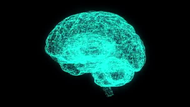 Brain Met Hologram Effect Vertegenwoordigde Kunstmatige Intelligentie Machine Learning Lusanimatie — Stockvideo