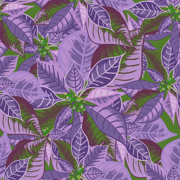 Patrón sin costuras con poinsettia. Adorno de ramo de flores de Navidad en color violeta — Archivo Imágenes Vectoriales