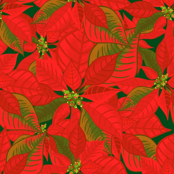 Varrat nélküli mintát a Mikulásvirág. Karácsonyi csokor virág dísz-piros színű — Stock Vector
