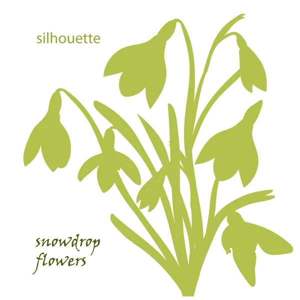 Ange siluett vackra snowdrop blommor — Stock vektor