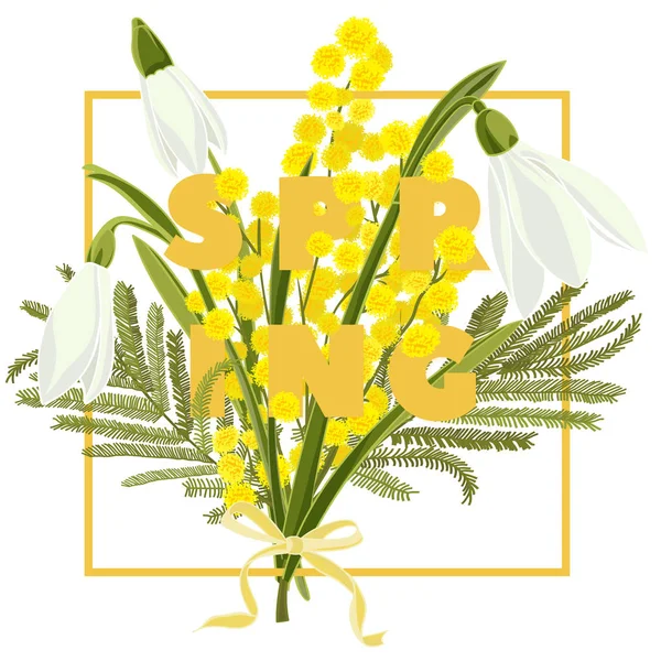 美しいスノー ドロップとミモザの花と春の花の背景 — ストックベクタ