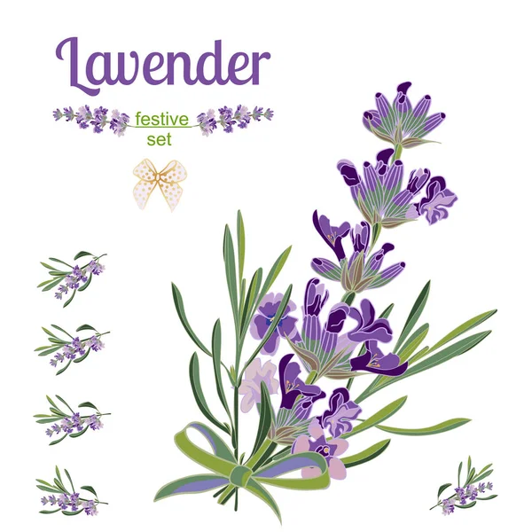 Conjunto de borde festivo y elementos con flores de lavanda para tarjeta de felicitación. Ilustración botánica . — Vector de stock