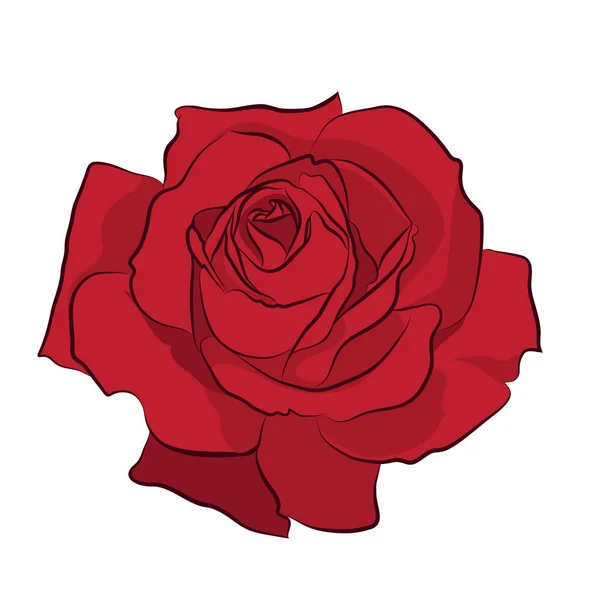 Belle rose rouge, isolée sur fond blanc. Silhouette botanique de fleur. Couleur de stylisation plate — Image vectorielle