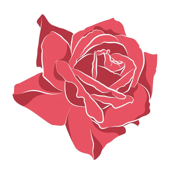 Beautiful hand drawn stencil rose, isolated on white background. Botanical silhouette of flower — Stock Vector