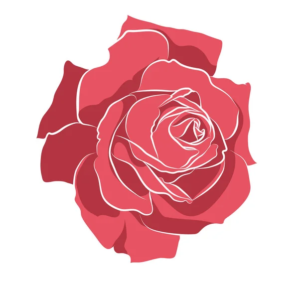 Beautiful hand drawn stencil rose, isolated on white background. Botanical silhouette of flower — Stock Vector