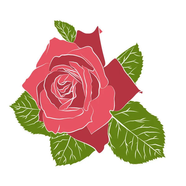 Hermosa rosa plantilla dibujada a mano, aislada sobre fondo blanco. Silueta botánica de flor — Archivo Imágenes Vectoriales