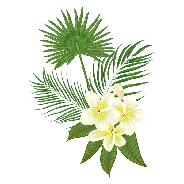 Hojas de palma tropical dibujadas a mano y composición frangipani con la selva flor exótica sobre fondo blanco ilustración vector botánico — Vector de stock