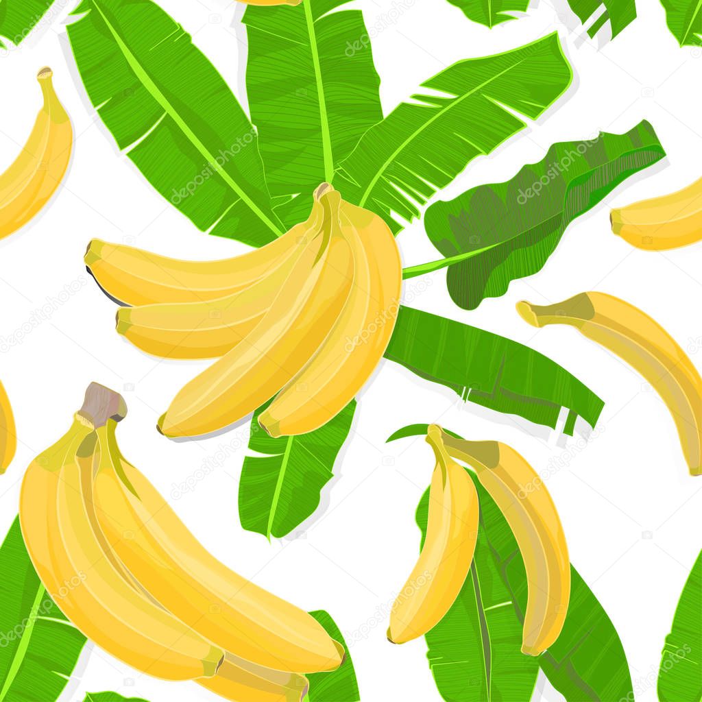 Seamless hand drawn tropical pattern with palm leaves, jungle exotic leaf and banana fruit on white background