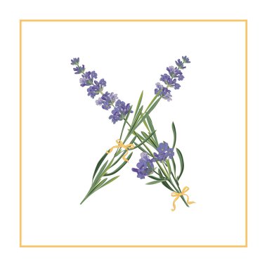 X harfi monogram. Lavanta çiçeği ilk işareti alfabesi