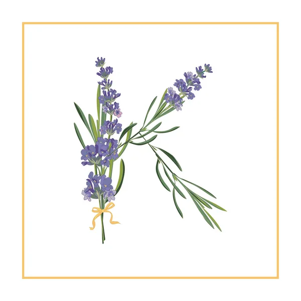 Letra K monograma. Alfabeto de signo retro con flor de lavanda inicial — Vector de stock