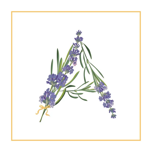 Letter A monogram. Retro bord alfabet met lavendel bloem initiële — Stockvector