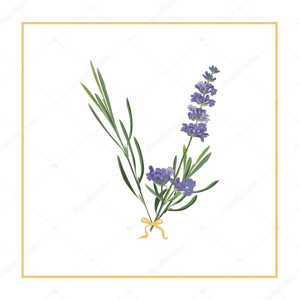 Letter V monogram. Retro sign alphabet with lavender flower initial