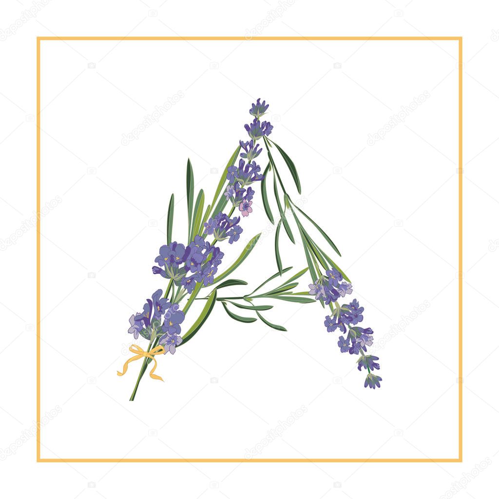 Letter A monogram. Retro sign alphabet with lavender flower initial