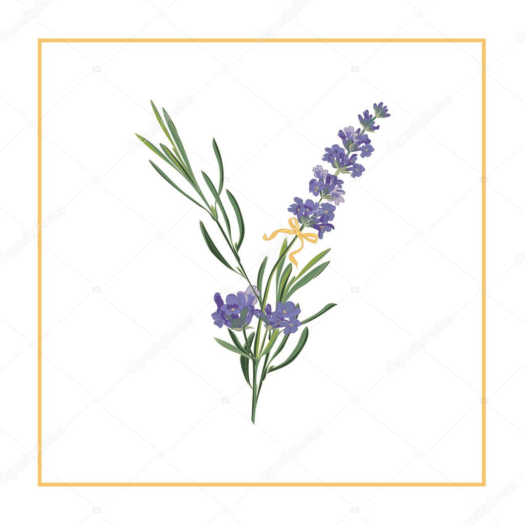 Letter Y monogram. Retro sign alphabet with lavender flower initial