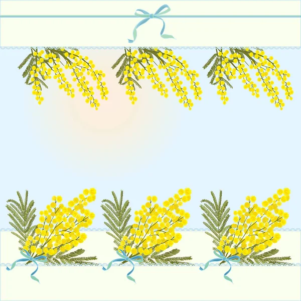 Plantilla abstracta floral de primavera fondo con flor de acacia mimosa y lugar para texto — Archivo Imágenes Vectoriales