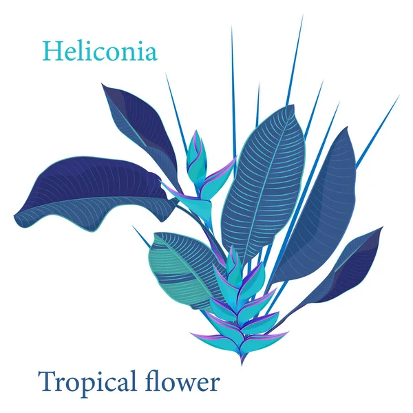Větev tropické heliconia květina listy. Realistická kresba stylově plochý barevný akvarel. izolované na bílém pozadí — Stockový vektor