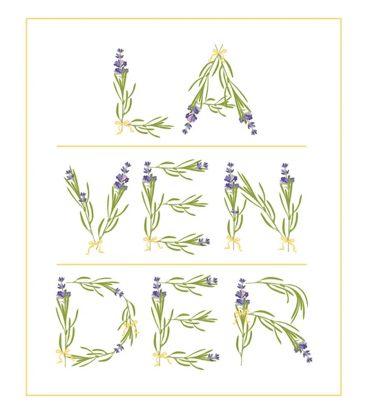 De slogan van de typografie met lavendel Bloementekst lavendel voor t shirt printing, borduurwerk, ontwerp. Grafische en gedrukte tee — Stockvector
