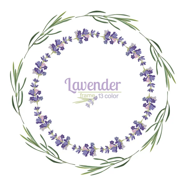 Violeta Lavanda hermosa plantilla de marcos florales en estilo acuarela aislada sobre fondo blanco para el diseño decorativo, tarjeta de boda, invitación, flayer de viaje — Vector de stock