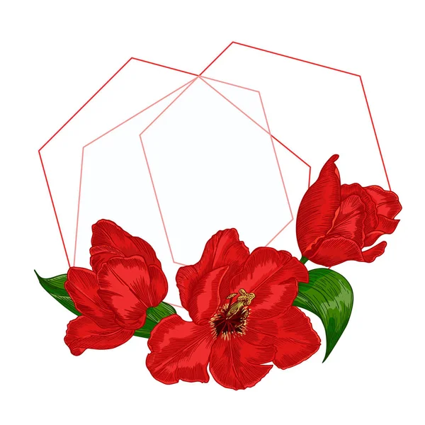 Ramo de flores de primavera. Tulipanes rojos aislados sobre fondo blanco Realista bosquejo botánico. Marco de tendencia y lugar para el texto. Estilo vectorial acuarela — Archivo Imágenes Vectoriales