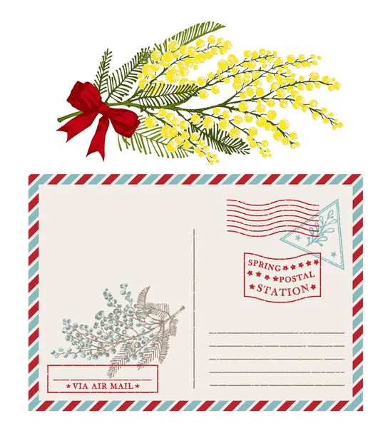 Plantilla Sobre Postal Vintage Con Rama Dibujada Mano Mimosa Flor — Vector de stock