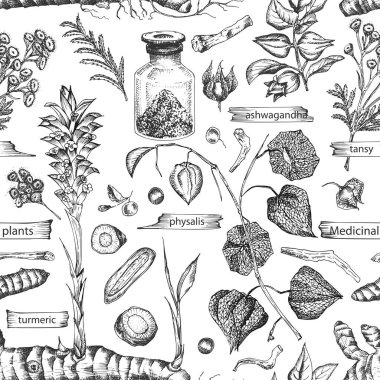 Kusursuz desenli, el yapımı eskiz şifalı bitkiler beyaz arka planda izole edilmiş. Wormwood, zerdeçal, tansi, ashwagandha, çobanlar, çanta, ginseng grafik çizim sanatı.