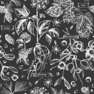 Elle çizilmiş kusursuz desenli eskiz ilaç elementleri siyah tebeşir tahtası arka planında izole edilmiş sedir, ökseotu, hokus pokus, ashwagandha, ginseng. Vektör illüstrasyonu
