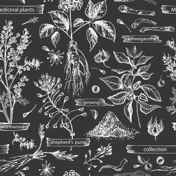 Eskiz elle çizilmiş kusursuz desenli eskiz şifalı bitkiler kara tebeşir tahtası arka planında izole edilmiş. Wormwood, zerdeçal, tansi, ashwagandha, çobanlar, çanta, ginseng. Vektör illüstrasyonu