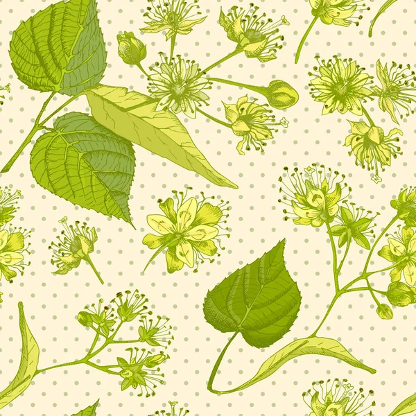 Linden Fleur Dessin Main Motif Sans Couture Avec Fleur Vit — Image vectorielle