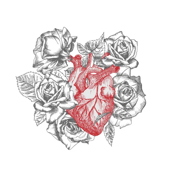 Coeur Avec Bouquet Roses Icône Réaliste Dessinée Main Organe Interne — Image vectorielle