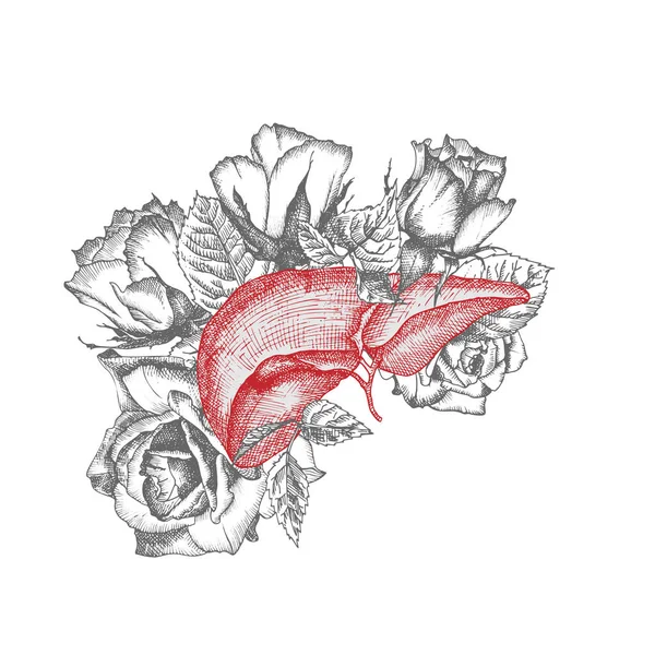 Hígado Con Rosas Ramo Icono Realista Dibujado Mano Órgano Interno — Archivo Imágenes Vectoriales