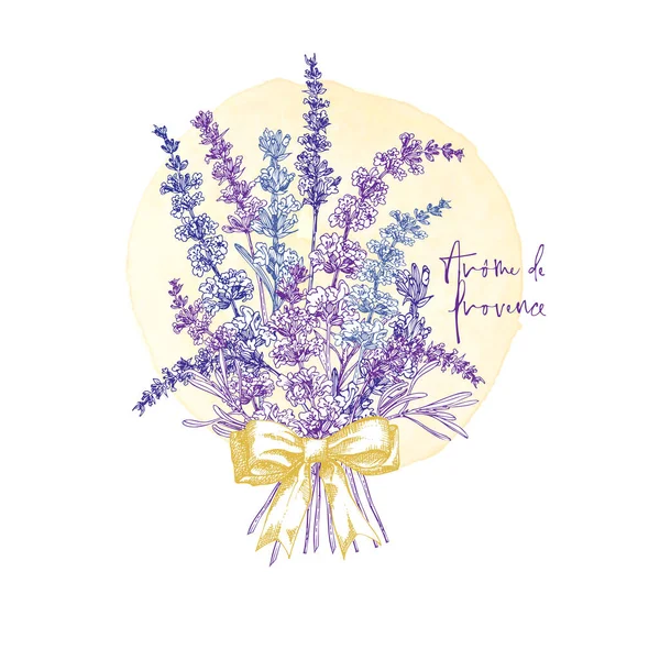 Jolie Carte Avec Croquis Dessiné Main Fleur Lavande Petit Arc — Image vectorielle