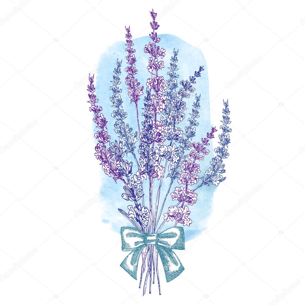 Cute card with of hand drawn sketch of Lavender flower and small bow isolated on white background. France Provence retro pattern for romantic design concept Place for text Vintage vector illustration.