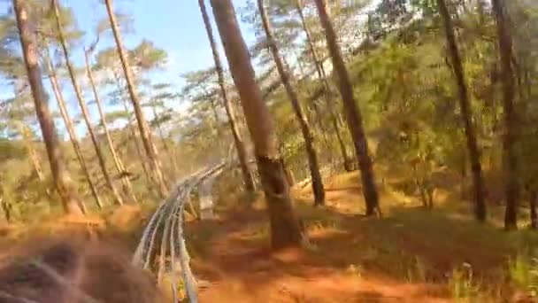 DALAT. VIETNAM: Sistema Único de Carril de Diapositivas Mueve a los Visitantes en la Ruta de Bobinado a través del Parque en Datanla Falls. Vietnam. Vídeo 4k — Vídeos de Stock