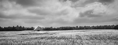 Soya tarlasında ahır