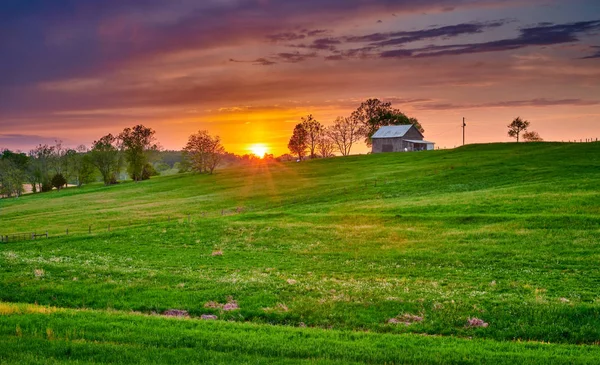 Fienile Tabacco con Campo Verde al Tramonto — Foto Stock